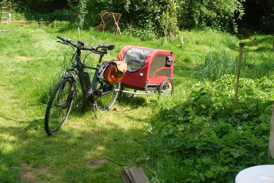 E-Bike HNF Heisenberg MD1 Pedelec in Wallenhorst