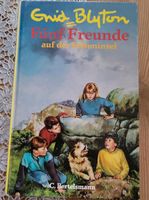 Enid Blyton Fünf Freunde auf der Felseninsel Buch Schleswig-Holstein - Selk Vorschau