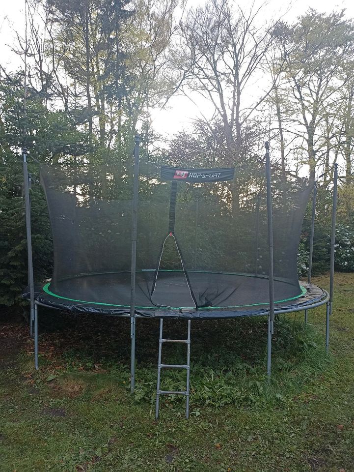 Trampolin 490cm in Westerstede