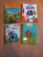 Set Bücher für Erstleser / Schulanfänger Niedersachsen - Stolzenau Vorschau