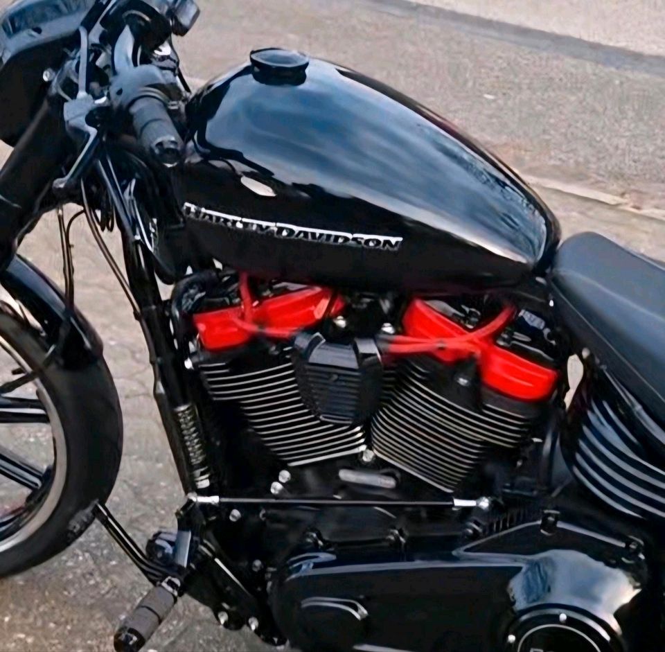 Harley Davidson Zündspulen Abdeckung Cover V1 Coil Cover Softail in Bordesholm