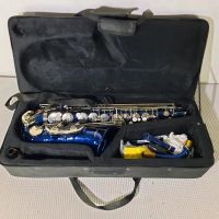 Cherrystone Saxophon Hessen - Dreieich Vorschau