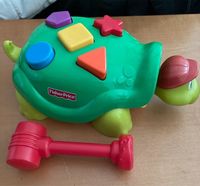 Schildkröte Fisher Price Brandenburg - Schwedt (Oder) Vorschau