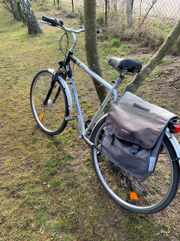 schönes Fahrrad von WINORA in Beeskow