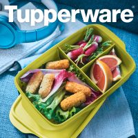 Tupperware Pausenbox apfelgrün NEU Bayern - Horgau Vorschau