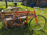 Peugeot Stahl Rennrad Restaurations bedürftig Bayern - Teisendorf Vorschau