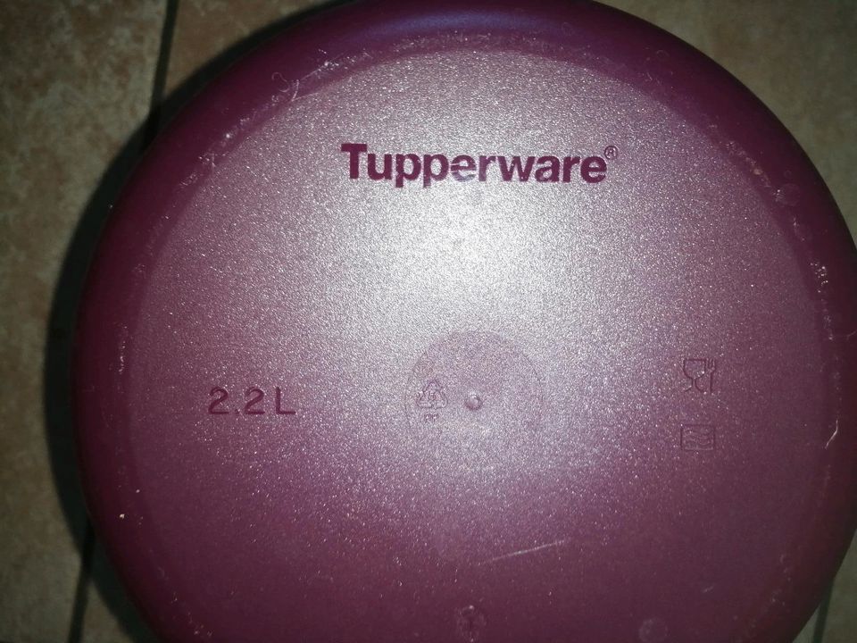 Reis - Meister von Tupperware in Großschweidnitz