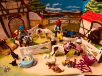 Playmobil 9262 Bauernhof Adventskalender Sachsen-Anhalt - Magdeburg Vorschau