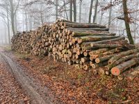 Stammholz Rundholz Brennholz Kiefer Buche Eiche etc.mit Lieferung Rheinland-Pfalz - Alzey Vorschau