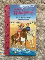 Kinderbuch „Die Reise mit den Zauberponys“ Nordrhein-Westfalen - Aldenhoven Vorschau