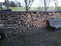 Brennholz Esche Bayern - Bad Kohlgrub Vorschau