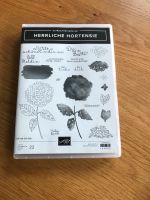 Stampin Up Stempelset und Stanzformen Herrliche Hortensie Nordrhein-Westfalen - Wesel Vorschau