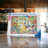 Puzzle Katzen Ravensburger No. 167319 Nordrhein-Westfalen - Langenfeld Vorschau