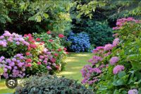 Biete Hilfe bei Gartenarbeiten an Bayern - Königsdorf Vorschau