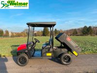 Toro Workman GTX-E-LITHIUM Golfcart Mehrzweckfahrzeug #172978 Hessen - Lollar Vorschau