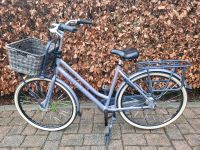 Gazelle Fahrrad Nordrhein-Westfalen - Dinslaken Vorschau