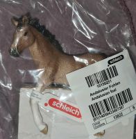 Schleich Andalusier Fohlen Blumenthal - Farge Vorschau