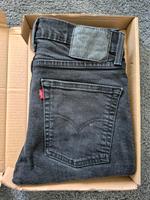 Levis Herrenhose Rheinland-Pfalz - Weißenthurm   Vorschau