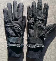Felix Bühler Reit-Handschuhe Größe M Berlin - Spandau Vorschau