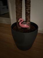 Gartendeko Flamingo Berlin - Köpenick Vorschau