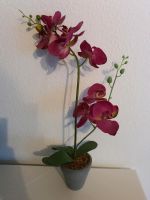 Kunstblume Orchideen Baden-Württemberg - Eriskirch Vorschau