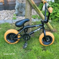 Mini BMX Rocker Nordrhein-Westfalen - Nettetal Vorschau