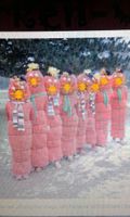 Wurm rot  Gruppen Kostüme Fasching Karneval Nordrhein-Westfalen - Olfen Vorschau