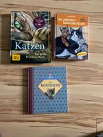 Katzen Bücher im Set Sachsen - Rabenau Vorschau