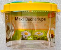 Maxi Becherlupe Moses Expedition Natur Forscher Spielen Kinder Bayern - Salgen Vorschau