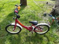 Puky Kinderfahrrad pink 18 Zoll Rheinland-Pfalz - Windhagen Vorschau