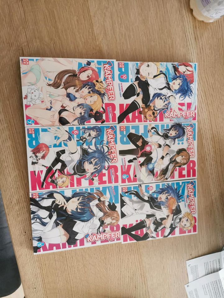 Manga Anime Kämpfer Teil 5 bis 10 in Euskirchen