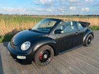 VW New Beetle Cabrio Highline 20V Turbo Niedersachsen - Geestland Vorschau