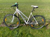 Damenfahrrad crossbike Bulls 54“ Nordrhein-Westfalen - Voerde (Niederrhein) Vorschau