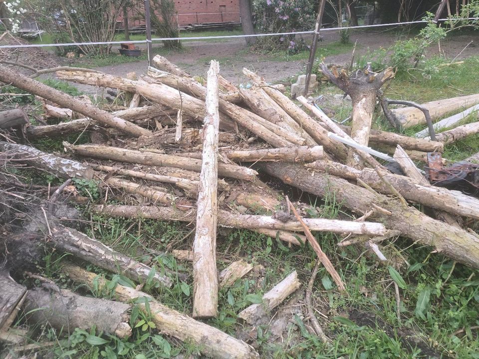 Holz zu verkaufen in Stendal