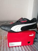 Puma schuhe Brandenburg - Cottbus Vorschau