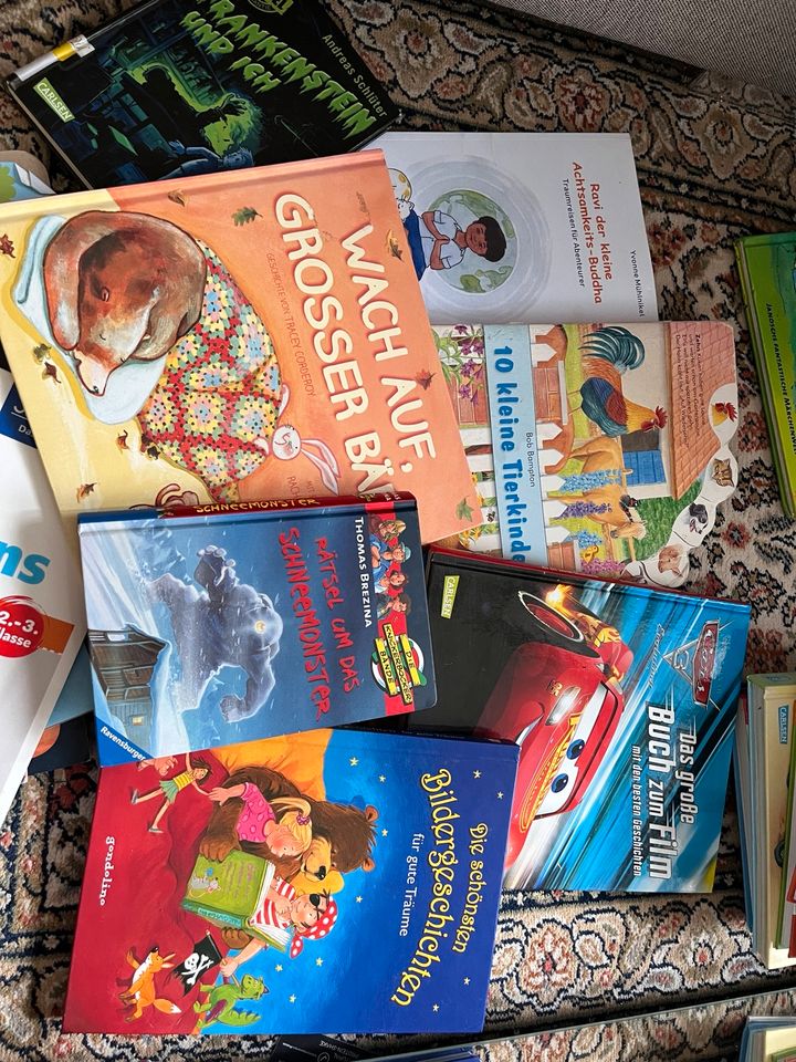 Verschiedene Kinderbücher in Frankfurt am Main