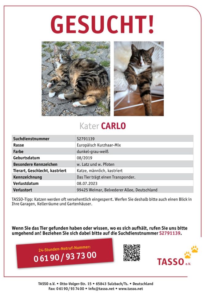 Katze vermisst Kater Carlo in Weimar