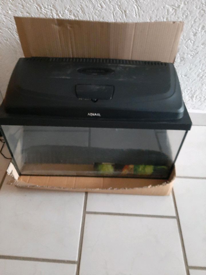 Aquarium 30 x 60 mit Pumpe und Heizstab in Otzberg