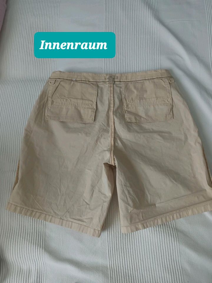 EDC Chinoshorts  98% Baumwolle Short Shorts 36 in Gießen