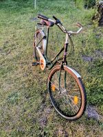 Damen Fahrrad 26 Zoll von Blücher retro Kreis Pinneberg - Elmshorn Vorschau