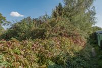 Verwirklichen Sie Ihren Traum vom EIGENHEIM - 610m² großes Baugrundstück in Karow Pankow - Karow Vorschau