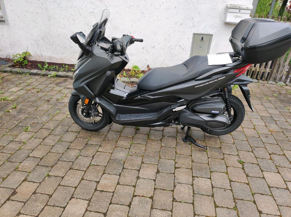 Honda Forza 350 Cynos Mettalic Grey in Landshut