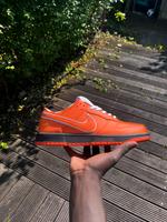 Nike sb dunk sneaker schuhe herren red lobster Hamburg - Bergedorf Vorschau