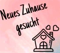 Neues Zuhause gesucht Nordrhein-Westfalen - Schloß Holte-Stukenbrock Vorschau