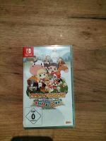 Nintendo Switch story of seasons Friends of Mineral town Hamburg - Bergedorf Vorschau