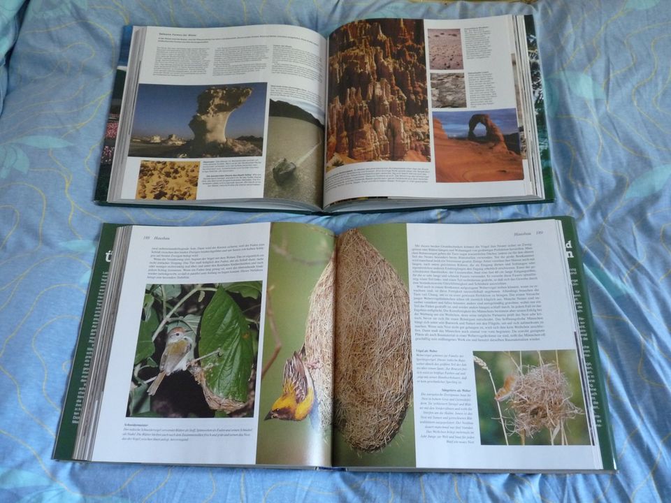 David Attenborough: 2 Bildbände Bücher Tiere und Pflanzen NEU in Stuttgart