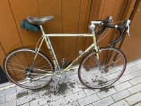 Koga miyata/Gentsracer/Rahmen 59 cm Potsdam - Babelsberg Nord Vorschau