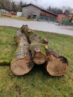 Eichenstämme, Holz, Brennholz, Stämme, Baden-Württemberg - Burgstetten Vorschau