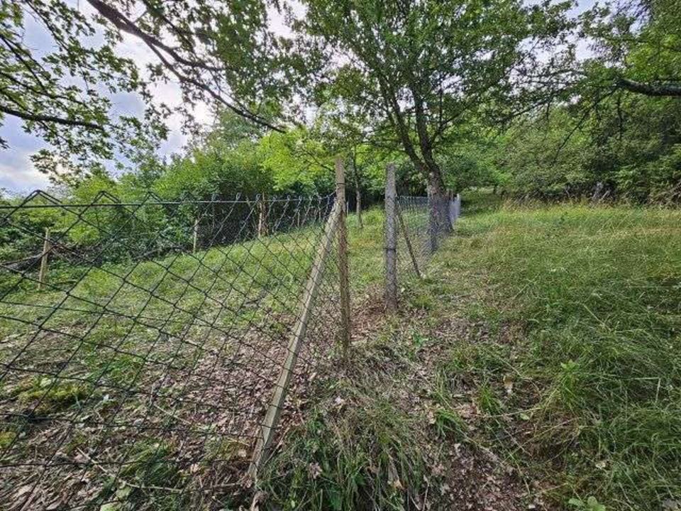 Stück Himmel auf Erden - atemberaubendes Freizeitgrundstück in Tübingen