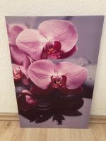 Orchideenbild Keilrahmung 60 x 40 cm Köln - Köln Buchheim Vorschau